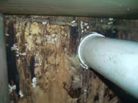 Crawl Space Damage