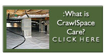 Crawl Space Care