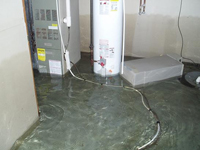 Leaky Basements Grow Mold